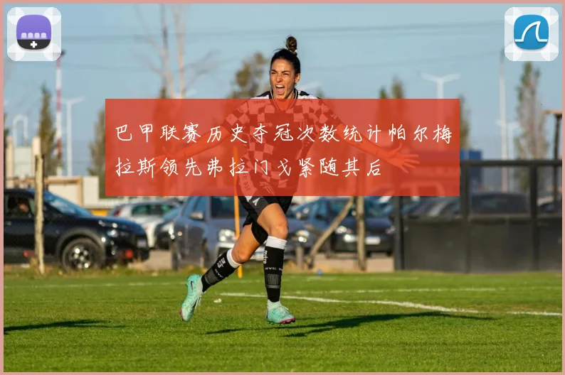 巴甲联赛历史夺冠次数统计帕尔梅拉斯领先弗拉门戈紧随其后