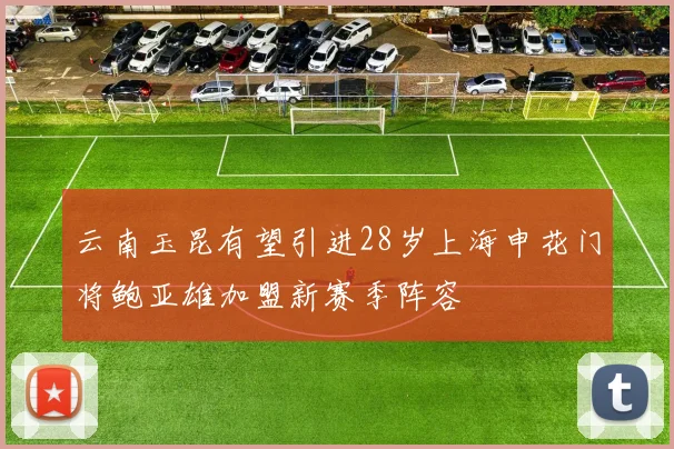 云南玉昆有望引进28岁上海申花门将鲍亚雄加盟新赛季阵容