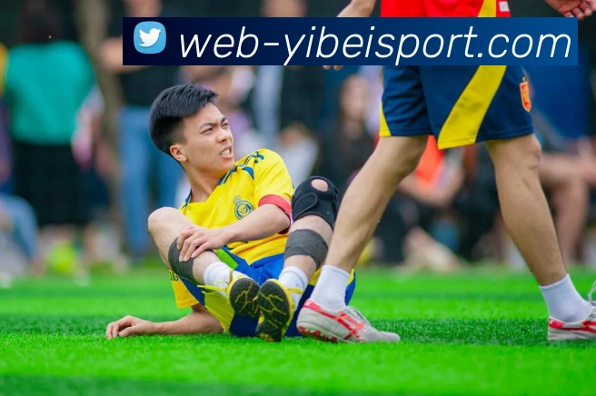 易倍体育服务体系